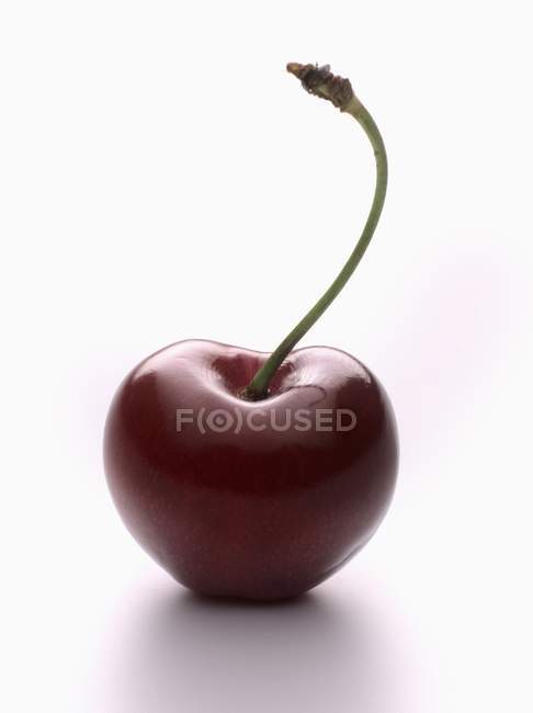 Fresh Burlat cherry — Stock Photo