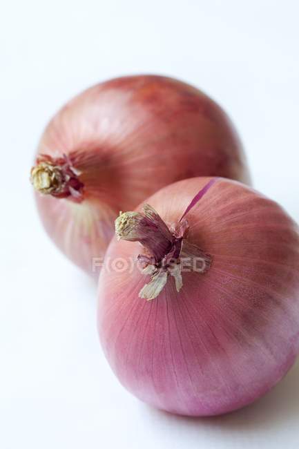 Two red onions — Stock Photo