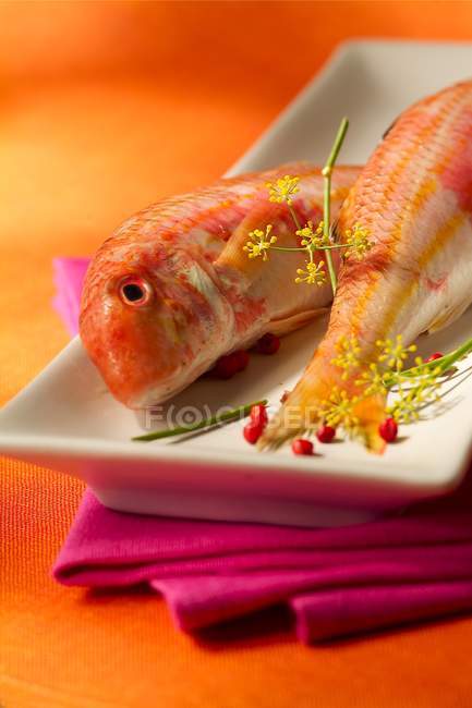 Peixes de tainha vermelha na travessa — Fotografia de Stock
