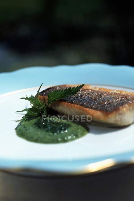 Closeup view of fried fish piece with green sauce and herb — Stock Photo