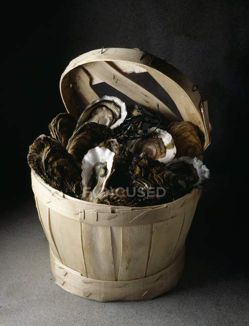 Wooden bucket of fresh oysters — Stock Photo