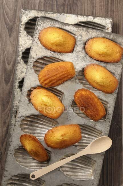 Homemade Madeleines on stacked baking trays — Stock Photo