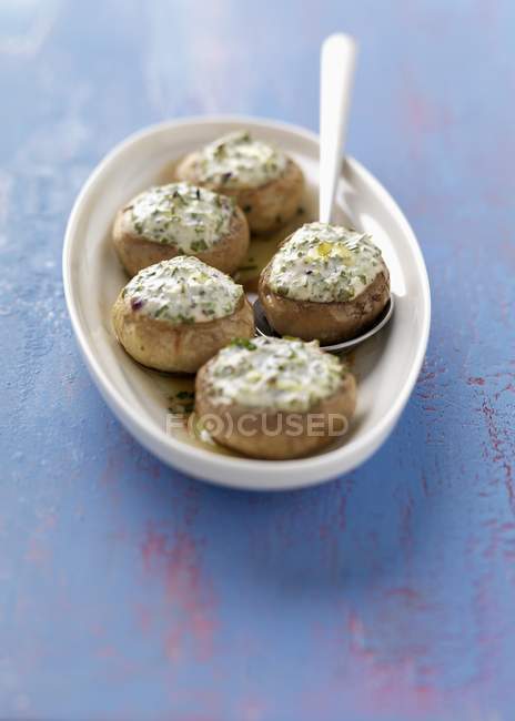 Button mushrooms with herbs — Stock Photo