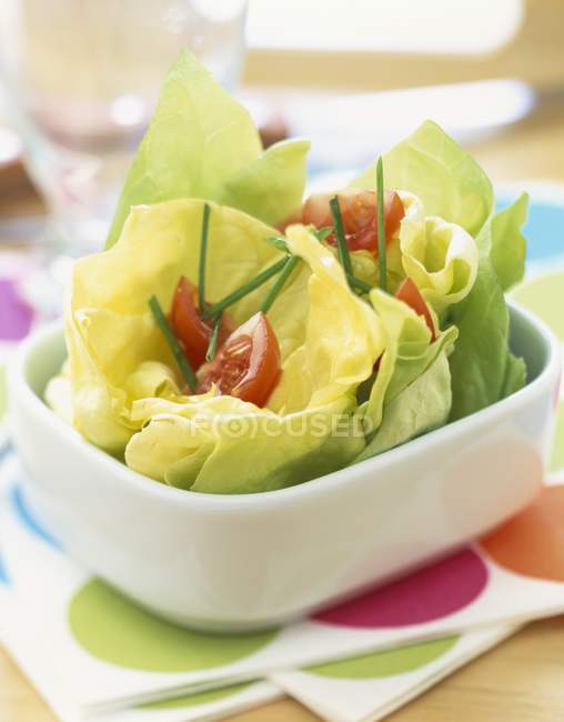 Листя салату з помідорами — стокове фото