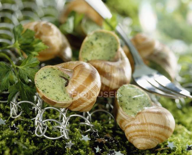 Prepared burgundy snails — Stock Photo