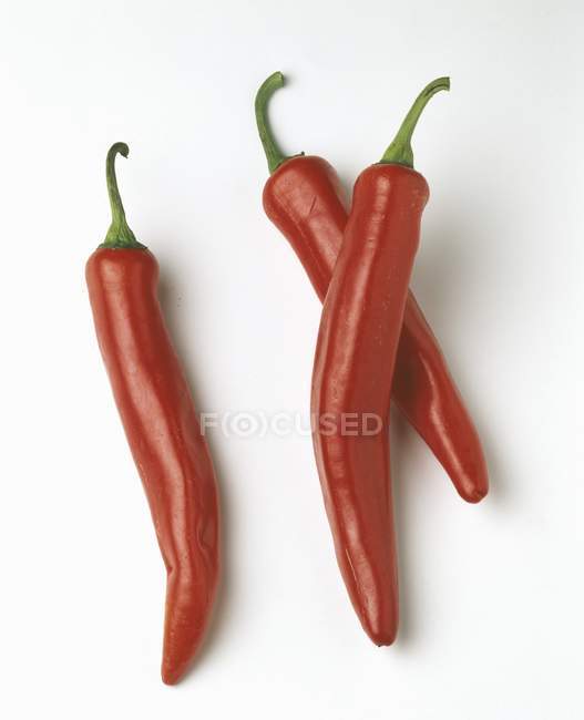Fresh Espelette peppers — Stock Photo