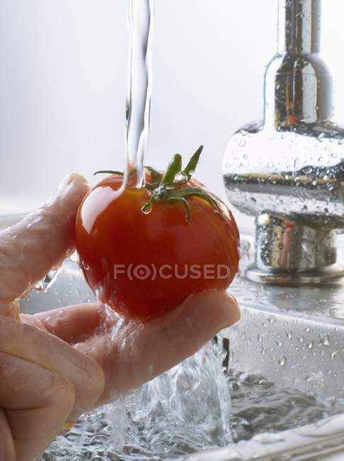 Enjuagar el tomate bajo el agua - foto de stock