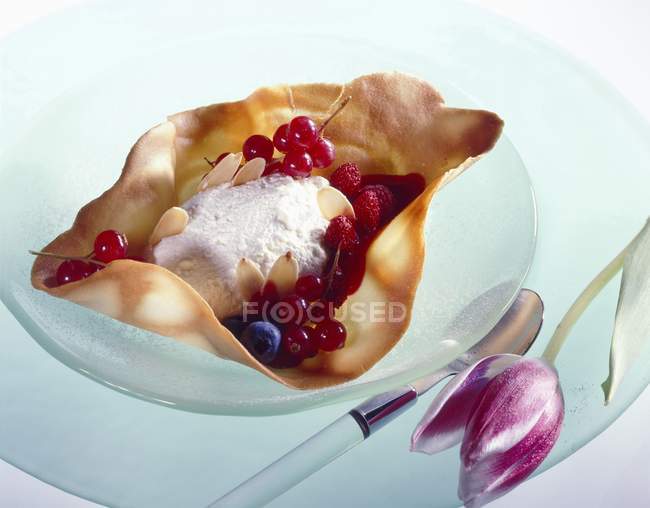 Tuile biscuit with fruit — Stock Photo