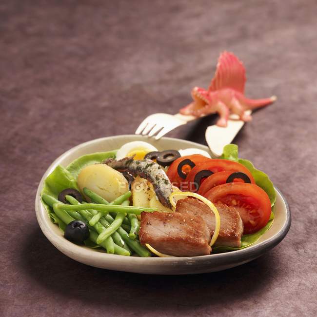 Салат ниуаз с тунцом — стоковое фото