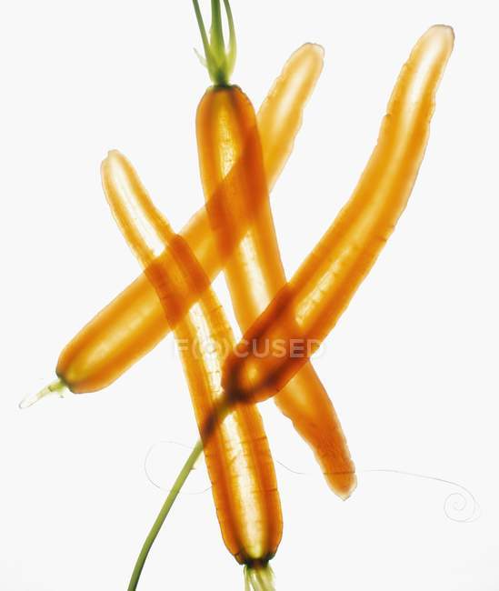 Thinly sliced carrots — Stock Photo