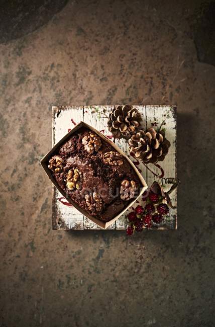 Bolo de chocolate com nozes — Fotografia de Stock