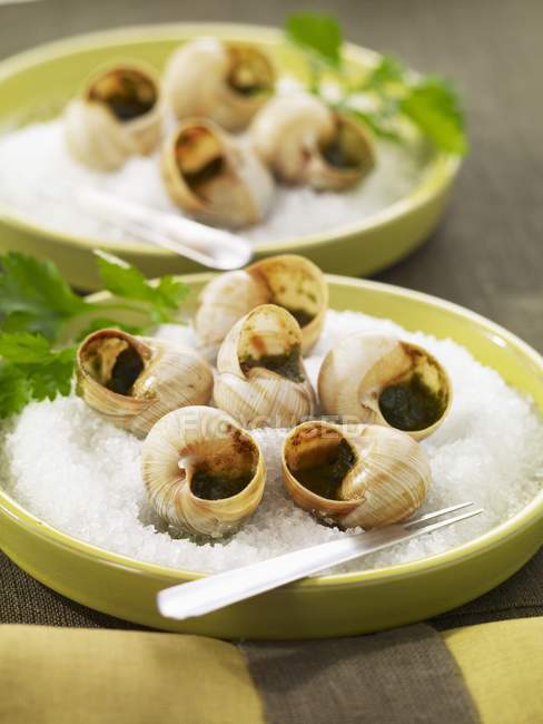 Escargots de Bourgogne au persil — Photo de stock