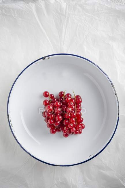 Groselhas vermelhas na tigela de esmalte — Fotografia de Stock