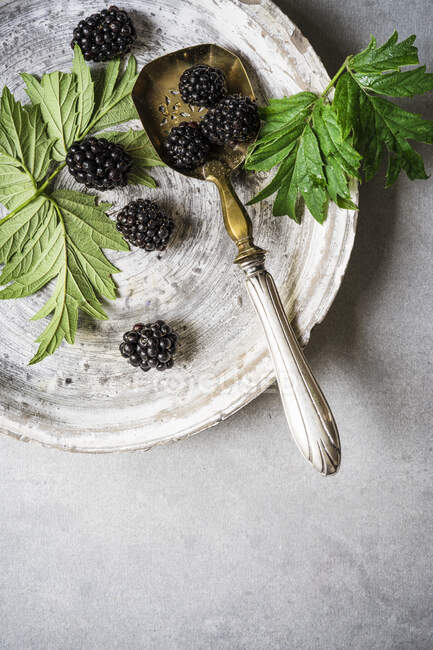Fresh blackberries with green leaves on ceramic pan with vintage spoon — Stock Photo