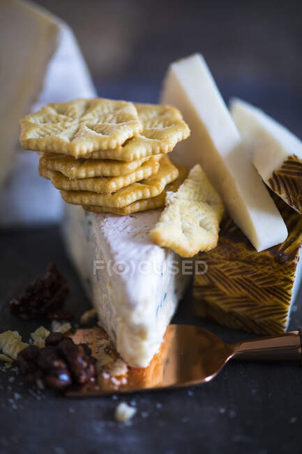 Nahaufnahme köstlicher Cracker und verschiedener Käsesorten — Stockfoto