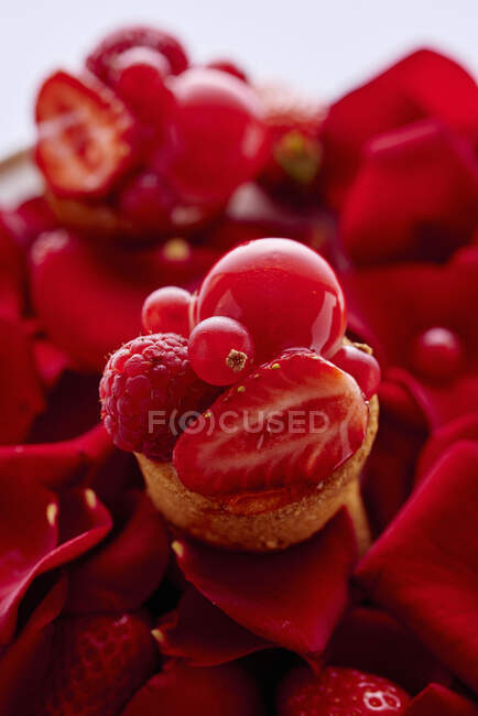 Tarts with red fruits on rose petals and red berries — Stock Photo