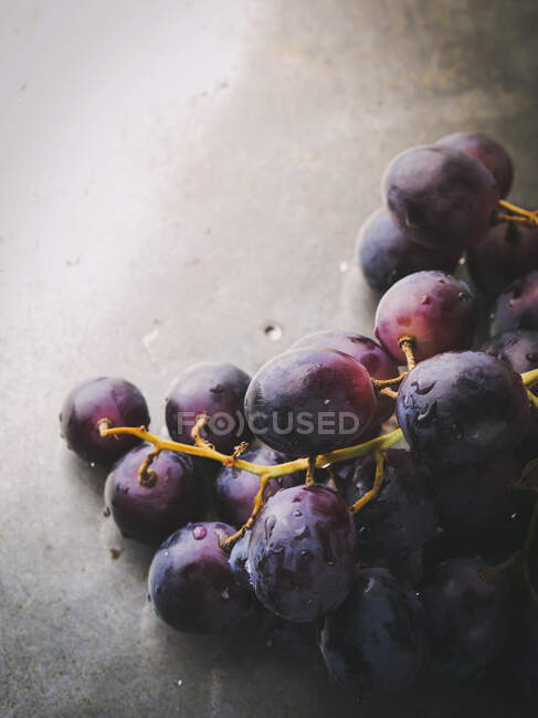 Raisins foncés frais sur fond de plateau métallique — Photo de stock