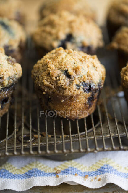 Primo piano di deliziosi muffin ai mirtilli su una griglia metallica — Foto stock