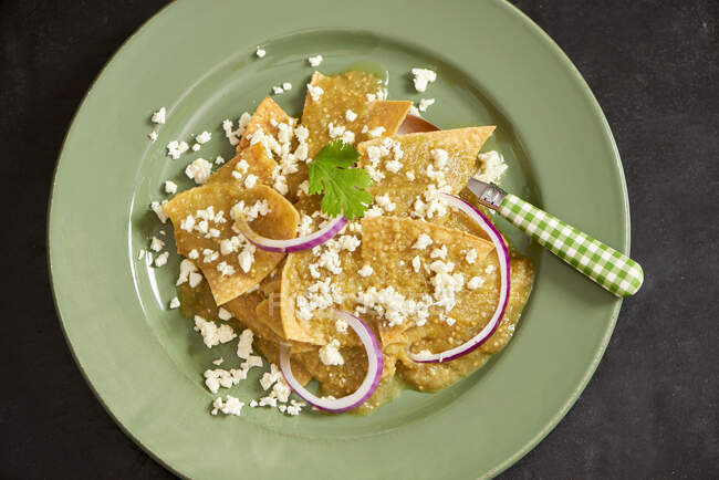 Chilaquiles (fried tortilla) with cheese and red onion rings (Mexico) — Stock Photo