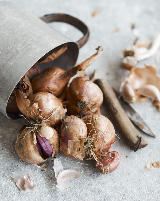 Onions ready for peeling — Stock Photo
