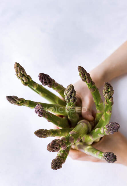 Hands holding green asparagus spears — Stock Photo
