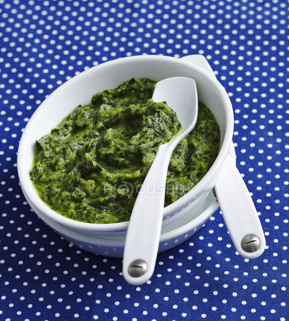 Green baby food made with spinach and kohlrabi — Stock Photo
