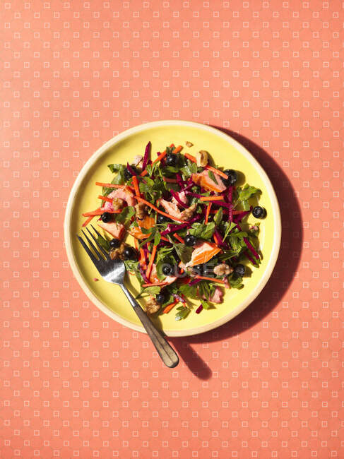 Beet Parsley And Smoked Trout Salad — Stock Photo