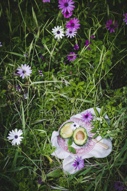 Two avocado slices on pink and white plate in filed with grass and pink flowers — Stock Photo