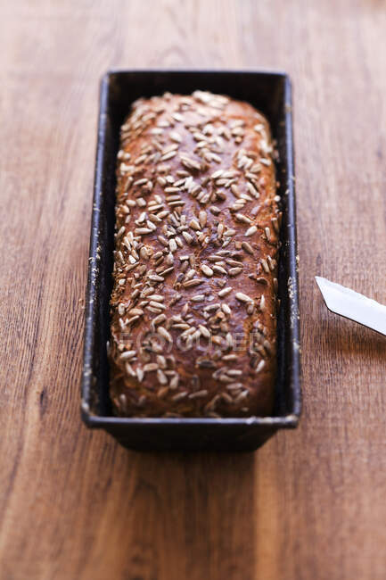 Sunflower seed bread in a loaf tin — Stock Photo