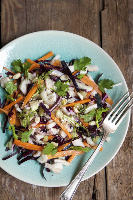 Сырой салат с фенхелем и морковью — стоковое фото