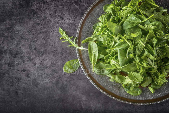 Foglie di rucola e spinaci in piatto — Foto stock