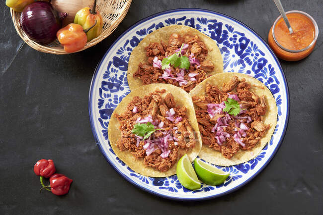 Cochinita Pibil, Mexican pulled pork in flat breads — Stock Photo