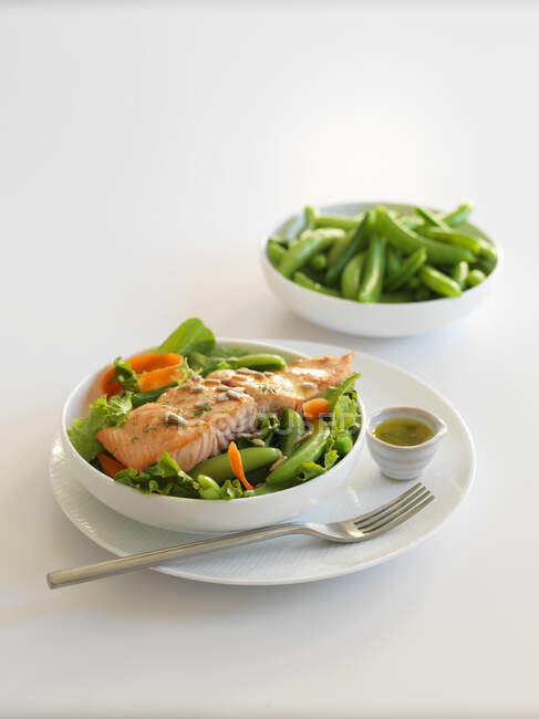 Close-up shot of delicious Salmon on pea salad — Stock Photo
