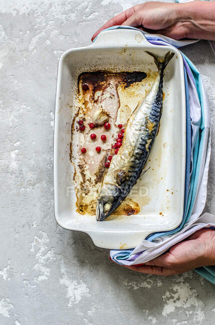 Fried mackerel in a baking dish — Stock Photo