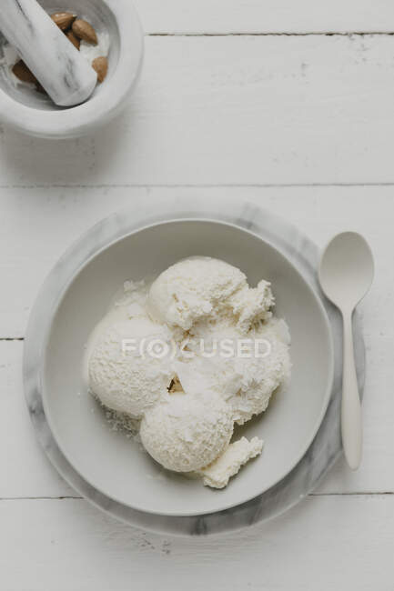 Vanilla and coconut ice cream with grated coconut — Stock Photo