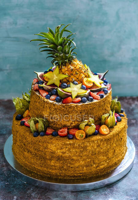 Un pastel de frutas de dos niveles - foto de stock