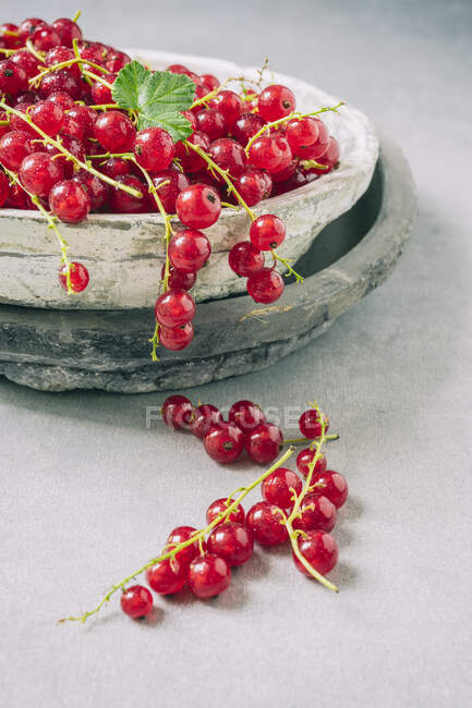 Redcurrants in stone bowl with green leaves — Stock Photo