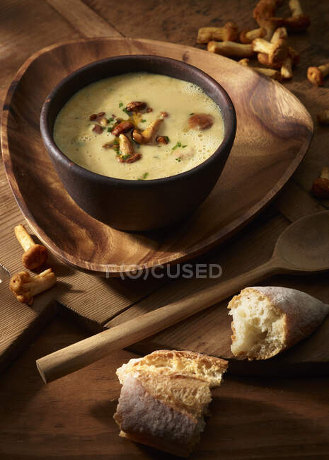 Autumn forest mushroom soup — Stock Photo