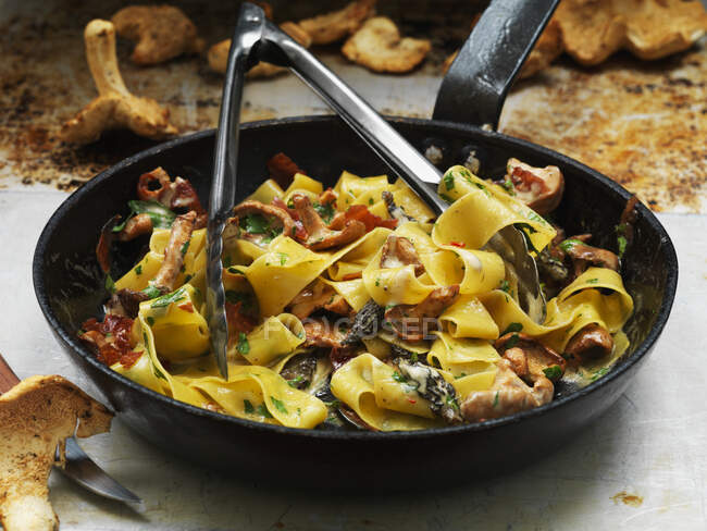 Close-up shot of delicious Pasta with wild mushrooms — Stock Photo
