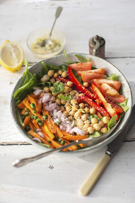 Saladeira com cenoura, cebola, grão de bico, pimentão e tomate — Fotografia de Stock