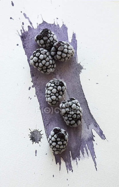 Frozen blackberries on watercolor painted paper — Stock Photo