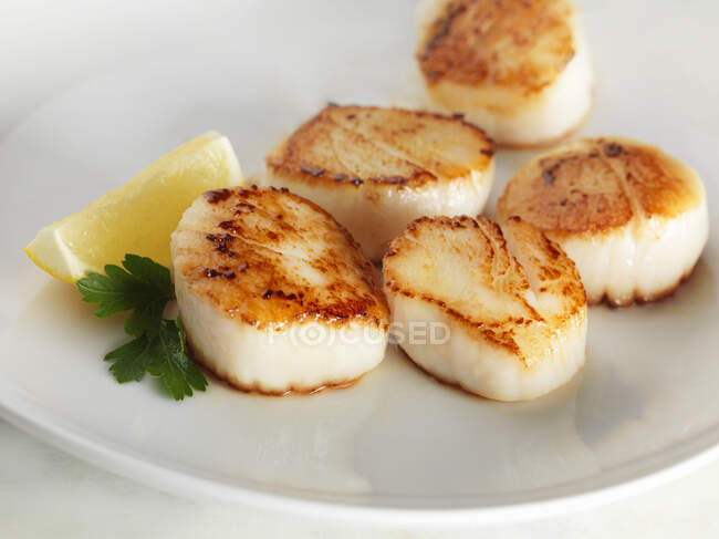 Fried scallops, closeup shot — Stock Photo