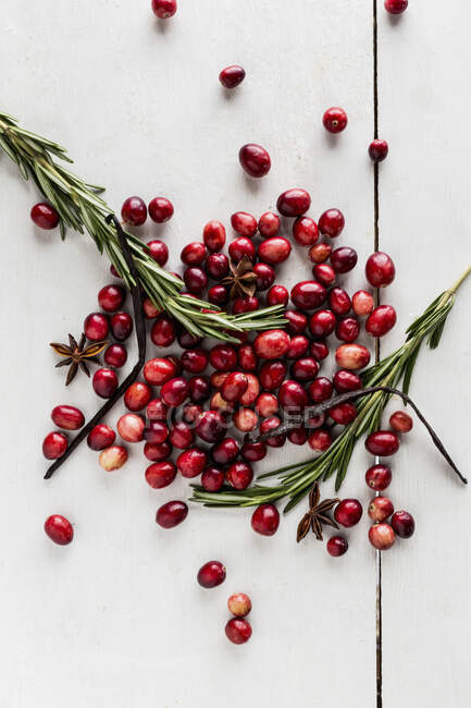 Cranberries frescas e alecrim na superfície branca — Fotografia de Stock