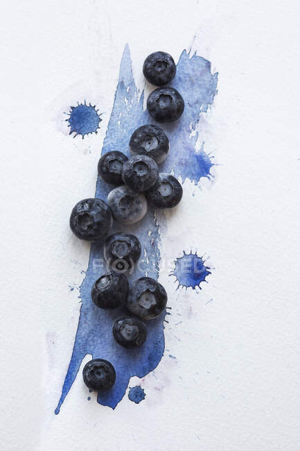 Blaubeeren auf blauem Aquarell bemaltem Papier — Stockfoto