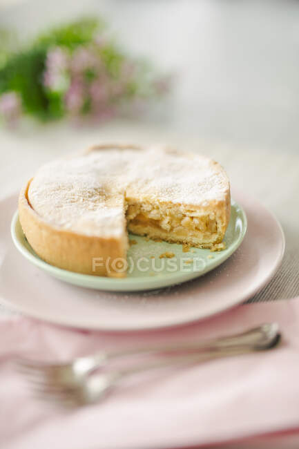 Apple cake with nuts, sliced — Stock Photo