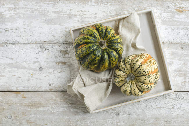 Microwave gourds on a rustic wooden background — Stock Photo