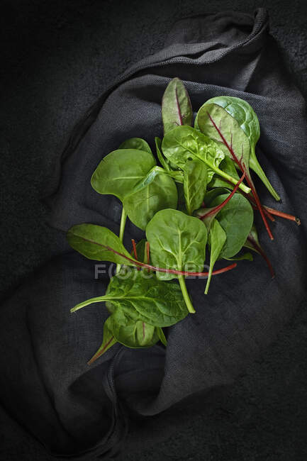 Young salad on a black cloth — Stock Photo