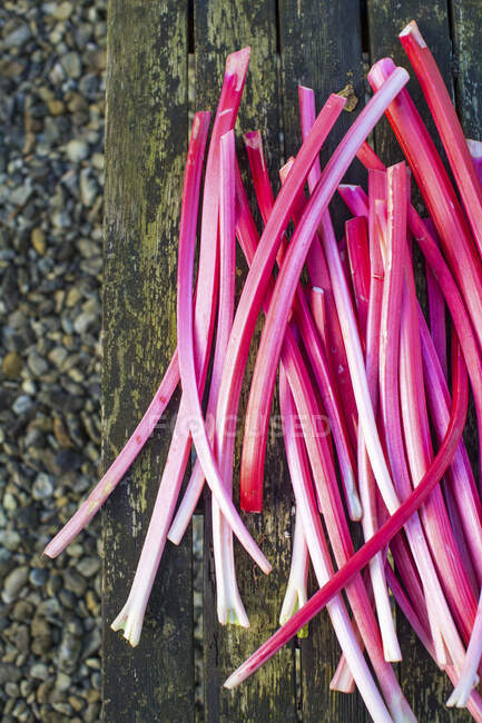Rhubarb stakes on wooden bench — Stock Photo