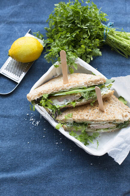 Toasted sandwiches with turkey escalope, lettuce, mini cucumber, chervil and dill — Stock Photo