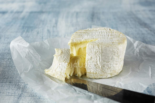 Soft cheese with cheese knife on paper wrap — Stock Photo
